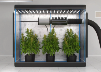Spider Farmer Mars Hydro grow tent comparison 2026