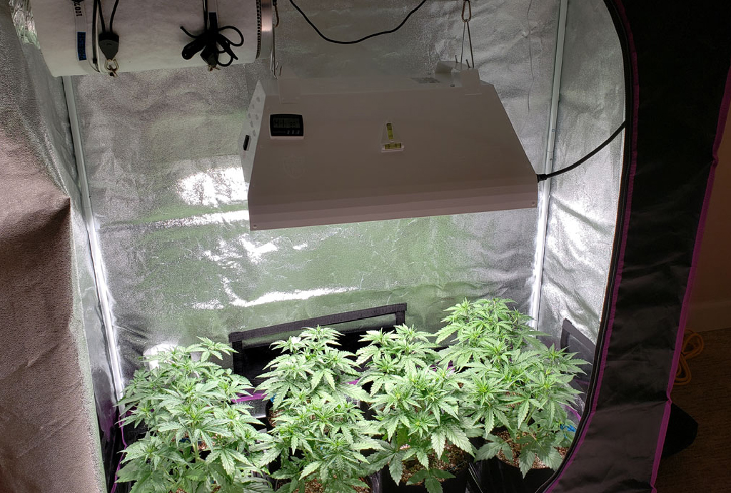 Spider Farmer Mars Hydro grow tent comparison 2026