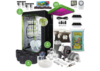 cannabis beginner grow setup