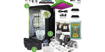 cannabis beginner grow setup