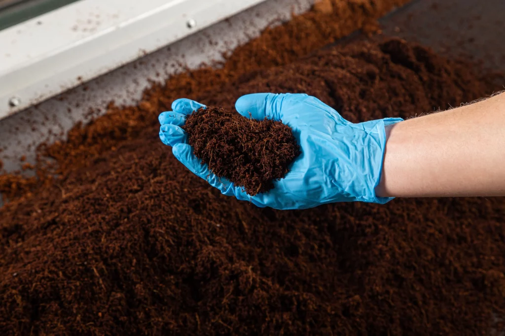 coco coir vs soil cannabis growing medium comparison root structure