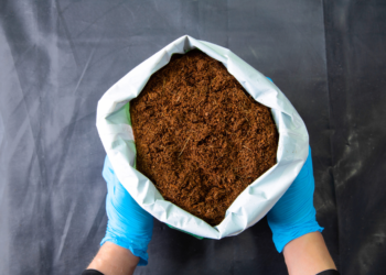 coco vs soil cannabis yield 2026