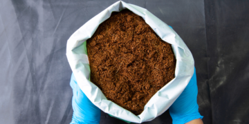 coco vs soil cannabis yield 2026