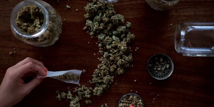 White Widow Autoflower: Grow Guide, Yield and Effects 2026 1 white widow autoflower cannabis grow guide 2026 thegreenghost