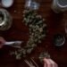 white widow autoflower cannabis grow guide 2026 thegreenghost