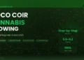 Coco Coir Cannabis Growing Complete Beginner Guide 2026