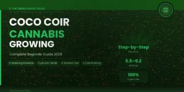 Coco Coir Cannabis Growing Complete Beginner Guide 2026