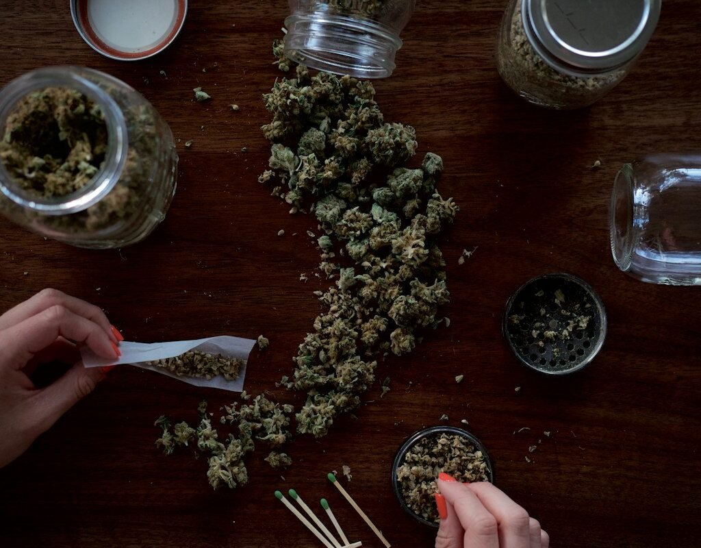 Best Autoflower Strains for Beginners 2026: Top 7 1 best autoflower strains beginners cannabis grow guide 2026 thegreenghost