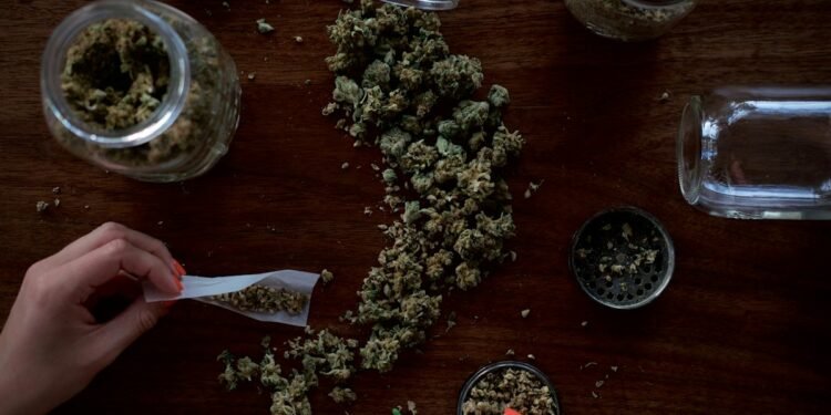 Best Autoflower Strains for Beginners 2026: Top 7 1 best autoflower strains beginners cannabis grow guide 2026 thegreenghost